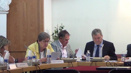 conseil municipal de Villeneuve-le-Roi - 15 juillet 2014 - 3ème partie