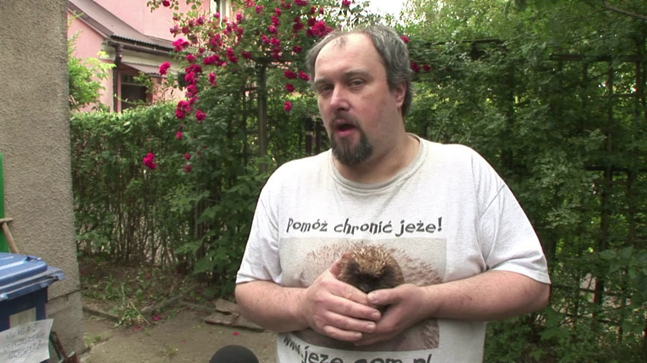 In Poland, poorly hedgehogs find a saviour