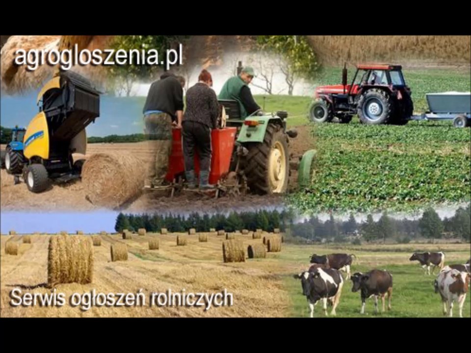 Rolnictwo. Ogłoszenia rolnicze darmowe