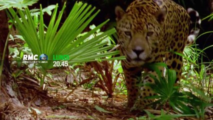 20H45 - Lundi 21 Juillet - Mission Venezuela : le plus dur reste à venir