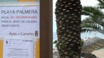 La peor noticia: Aguas no recomendables para el baño en playa Palmera
