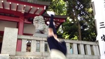 Écolières japonaise se poursuivent en mode Parkour Ninja! Dingue...