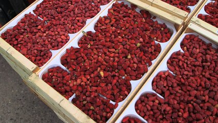L’Européen d’à côté : Fabrication de glaces et sorbets en Rhône-Alpes