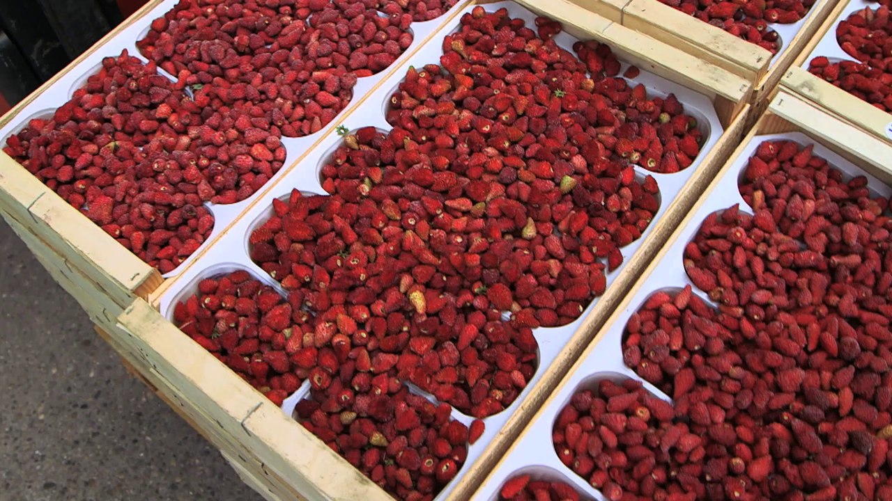 L’Européen d’à côté : Fabrication de glaces et sorbets en Rhône-Alpes