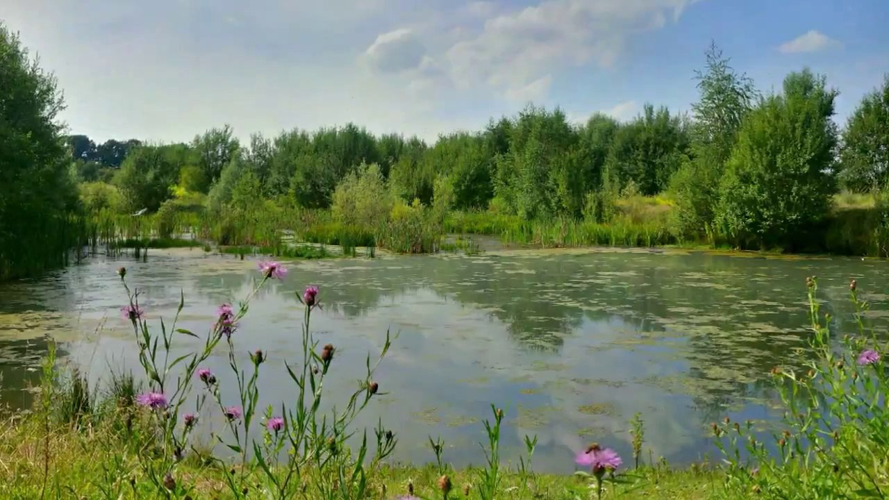 Am Krähenholz und Hinnacksteich in Leopoldshöhe - www.lipperland.de