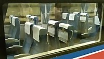 Japanese Train Seat Reset