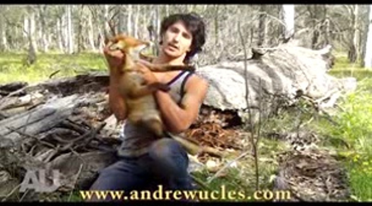Fox captured barehanded