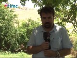 IŞİD üyeleri Kobani sınırından İMC TV tarafından görüntülendi