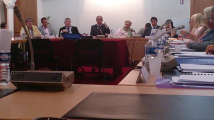 conseil municipal 15 juillet dernière partie