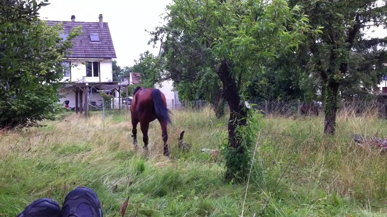 14-07-09 - De l'heeeerbe !