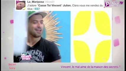 Public Zap : Vincent, le mal aimé de Secret Story 7 ?