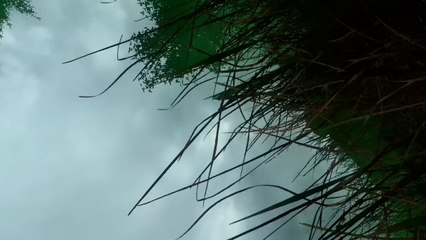 Areal - Prototype de gameplay