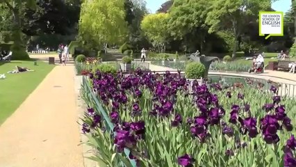 The London School of English - Holland Park