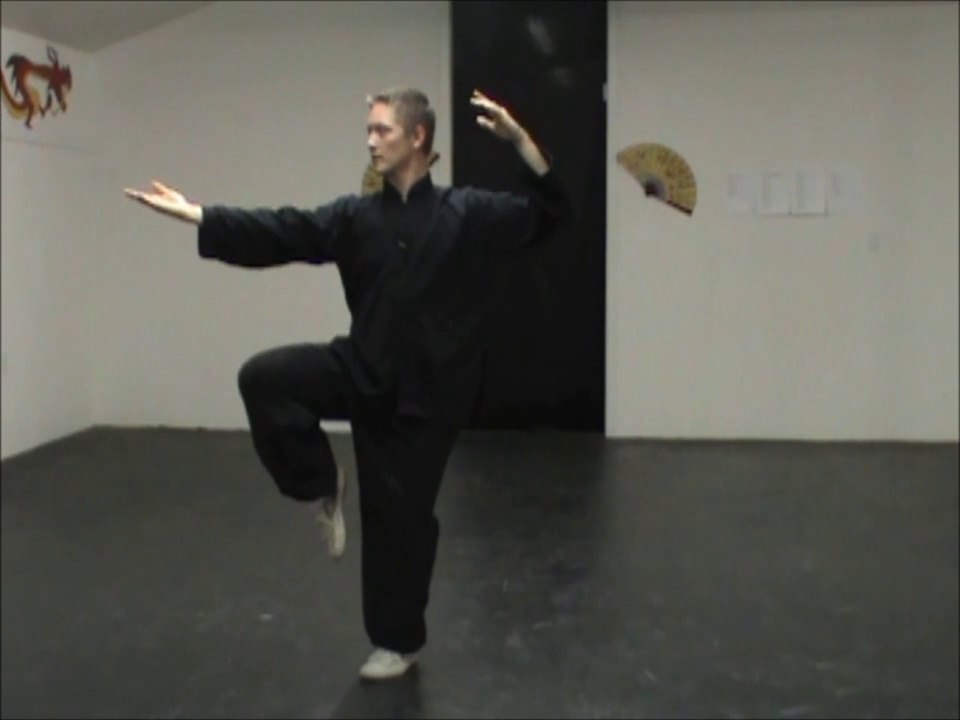 (10/11) Yang Tai Chi Stepping Sets. Line Drilss: Repulse the Monkey