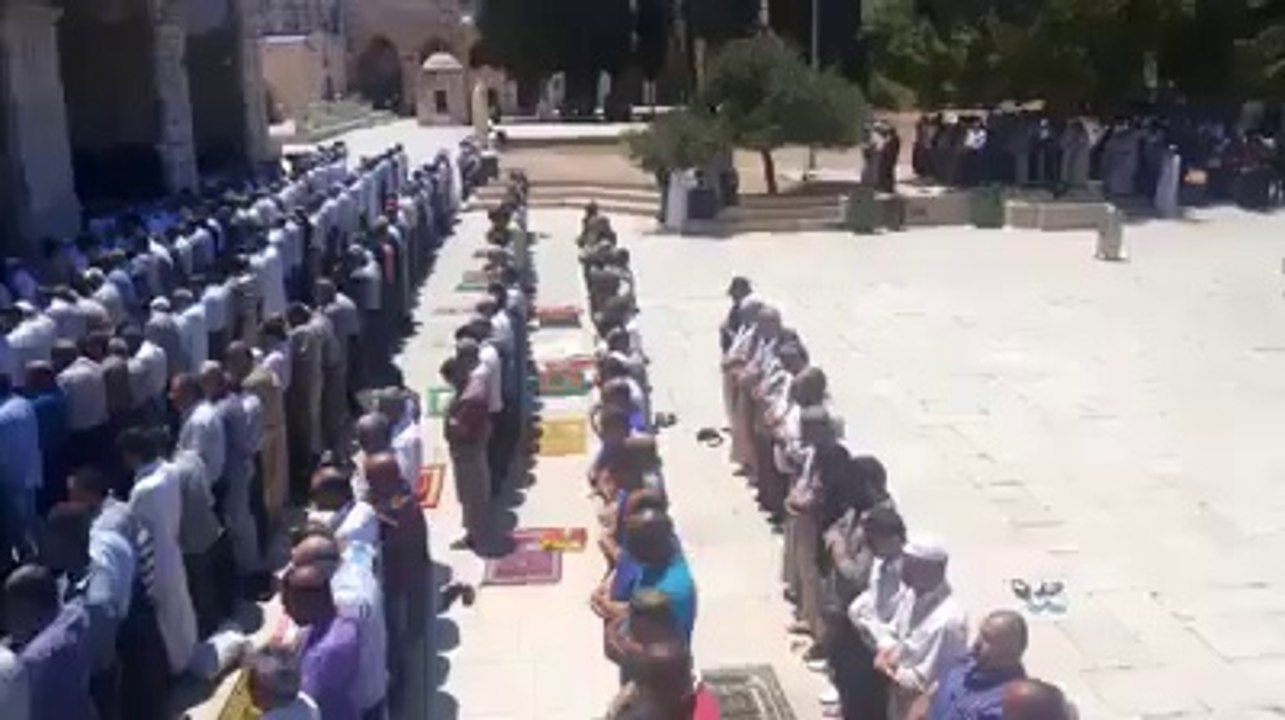 آج مسجد اقصی کےامام نےسورہ الفیل کی تلاوت کی۔ کیا خوبصورت آواز ہے - Must Watch
