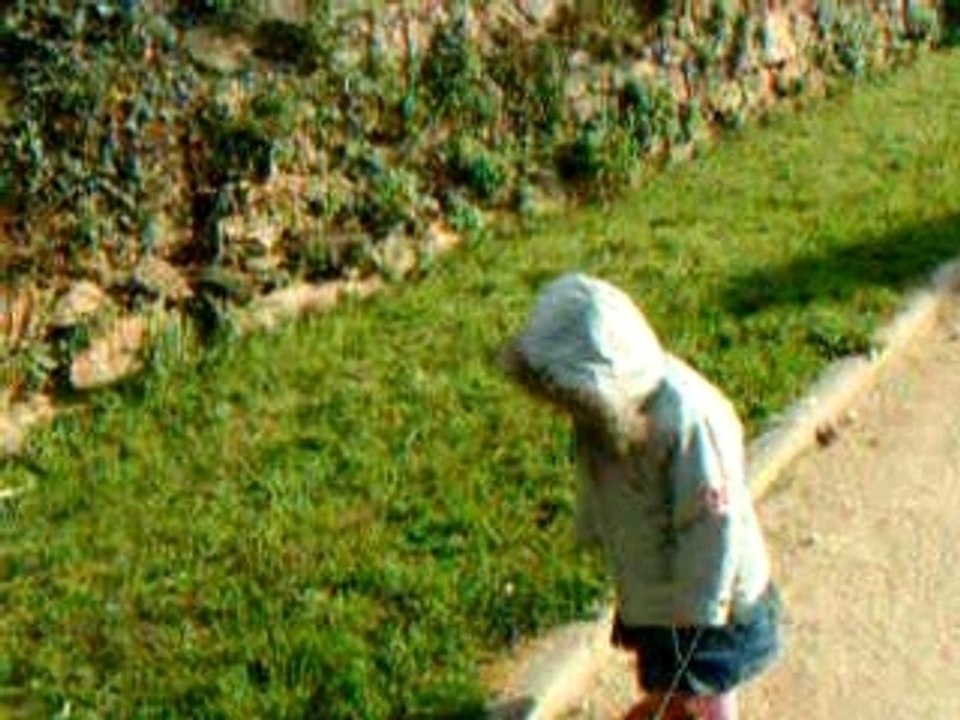 DSCF0018