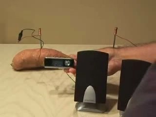 Potato powered MP3 player