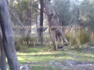 AMAZING ESCAPE - RARE FOOTAGE - Cleveland Kangaroo kidnap victim - mucho funny(1)