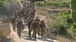 В сектор Газа вошли израильские танки
