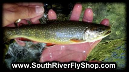 Things To Do At Massanutten Resort | Mountain Fly Fishing
