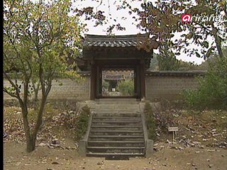 More than Kimchi S2Ep31