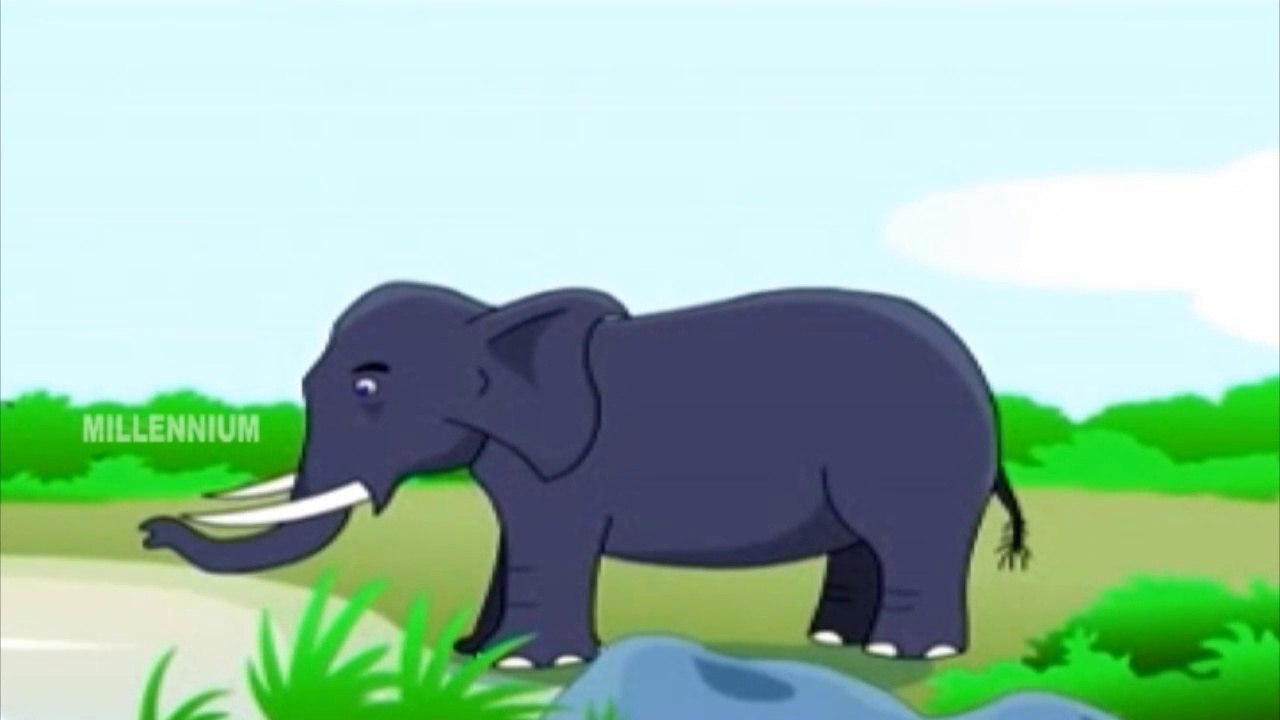 Animals | Chinnuvinte School | Kids Informative Animations