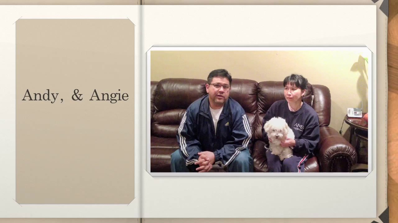 Clients testimonials about Vinyl windows and doors