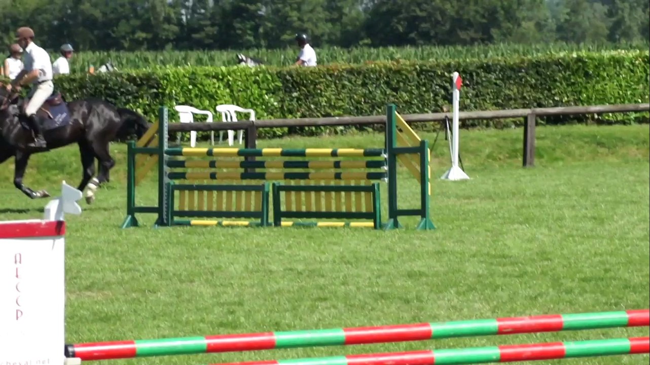 AMBRE D'ELINCOURT, CSO SHF 4 ANS Qualificative Genech 17 7 2014