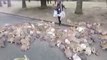 Rabbit Stampede (Original) - Woman Chased By Hundreds of Rabbits - Cuteness