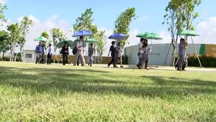 Biệt Thự Đại Phước lotus, Sen Phương Nam - 0933.099.061