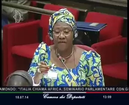 Roma - Seminario ''Italia chiama Africa'' - seconda parte (18.07.14)