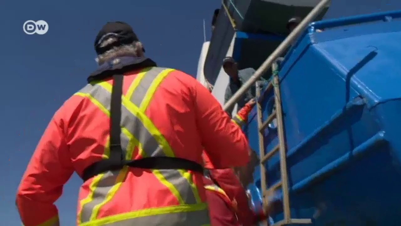 Eisbergfischer in neufundland | journal reporter