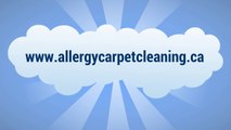 Carpet Cleaning Services Mississauga Ontario