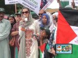 Solidarity Protest of Pakistan Peoples party with Palestinians and against the Israel attacks on Palestine