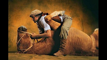 CHEVAUX de Yann Arthus-Bertrand