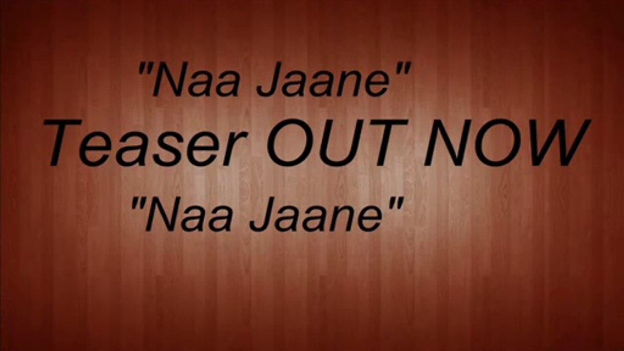 Prince Azaan, Naa Jaane.