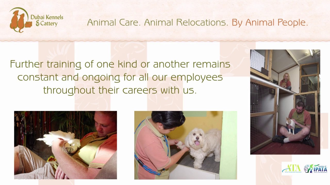 Entrust Your Beloved Furry Friends To The Pet Care Experts