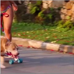 Clip Vanessa Mesquita