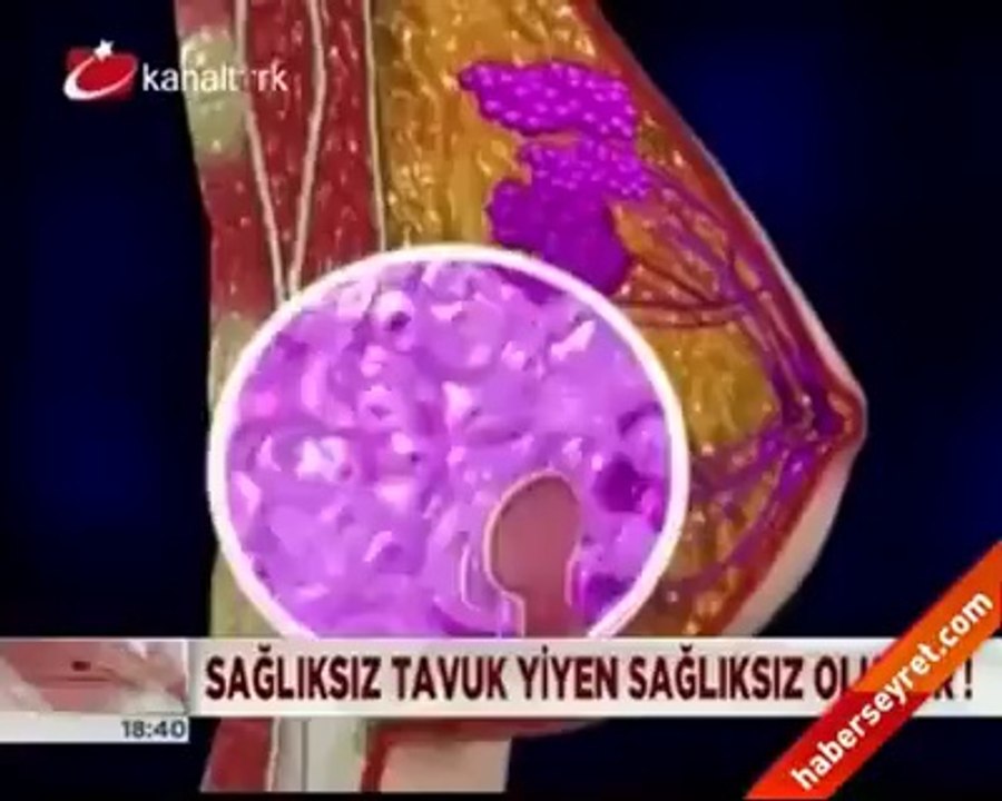 Tavukmu Yiyoruz