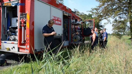 Brandweer redt kalfje uit de sloot - RTV Noord