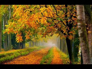 YILDIZ DEMİRKOL SAVAŞ-yıldızlıtürküler-SANA NASİHATİM VAR