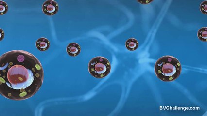 EvolvHealth Activate ATP Cellular Energy Activator