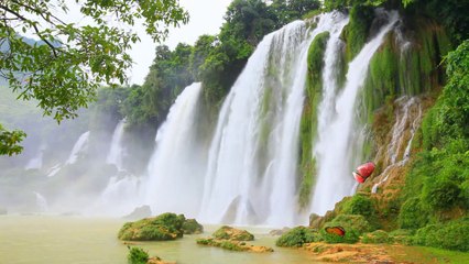 Relaxing Music & Beautiful Nature 2 HD 1080p