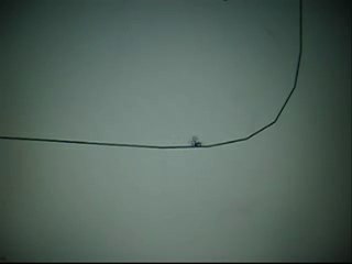 Line Rider Leaves Earth