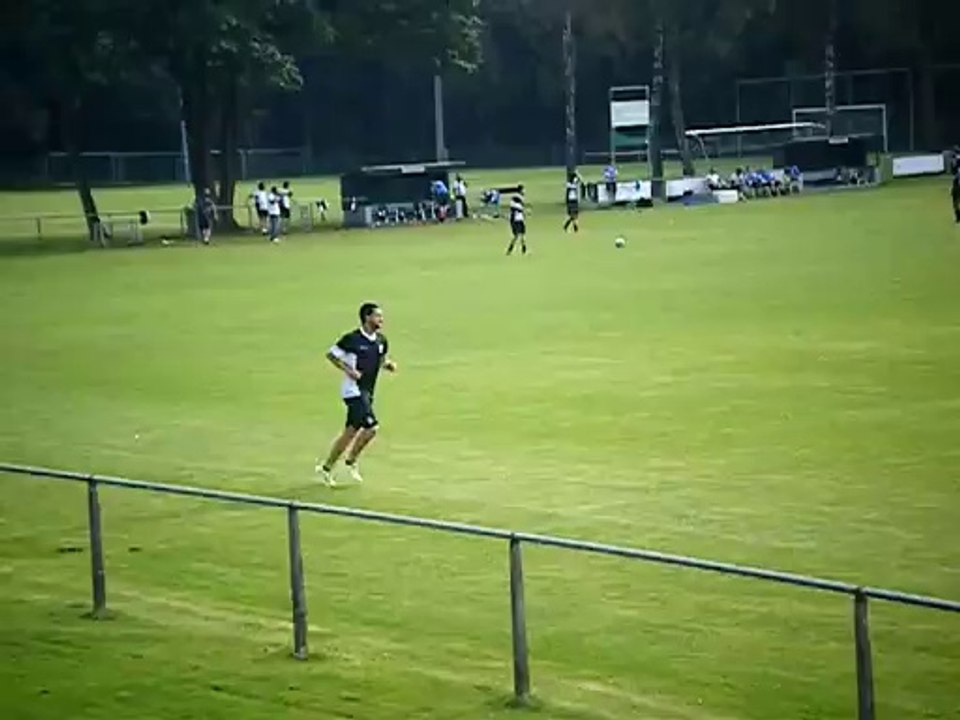 pereira