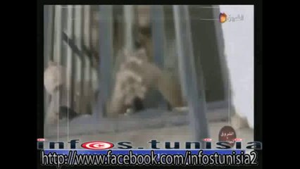 خطير معلومات واردة من مدون جزائري يؤكد أن الارهابي في الصورة جزائري