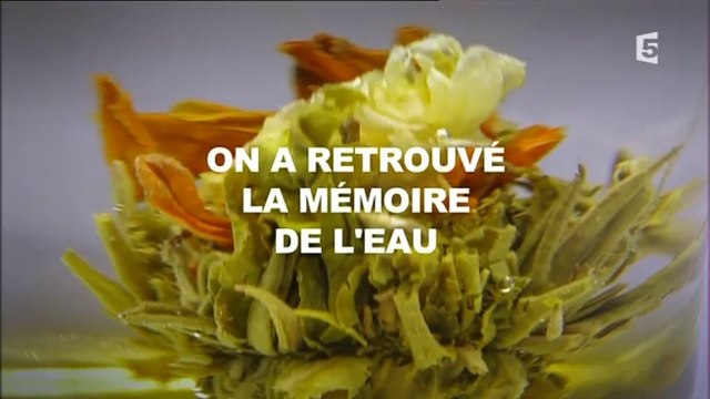 On A Retrouvé La Mémoire De L’Eau ! Jacques Benveniste