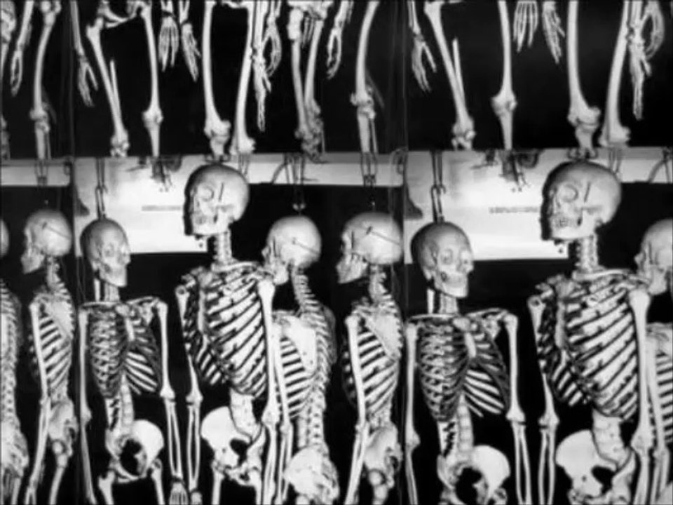 Maxence Cyrin - Really ?