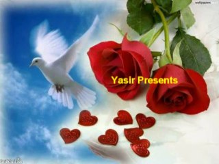 Mohabbat Ki Hai Tumhare Liye - Kumar Sanu, Anuradha Paudwal - Sadak (1991)