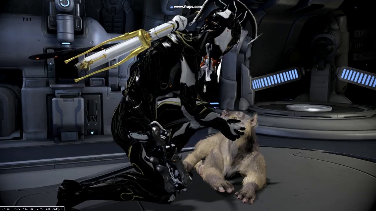 Warframe kubrow